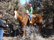 riding lesson bend oregon