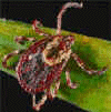 [Company Logo Image]